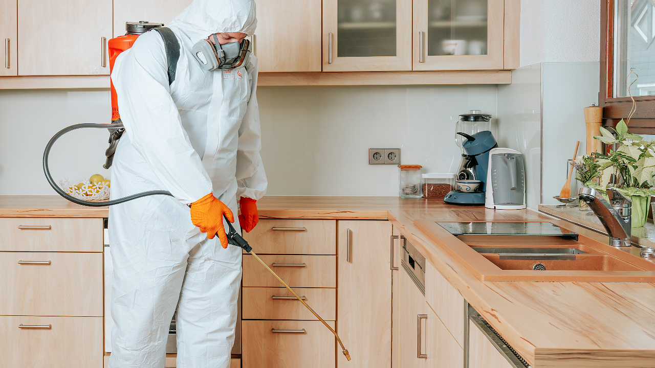 Schädlingsbekämpfer/-innen | EXento GmbH Schädlingsbekämpfung