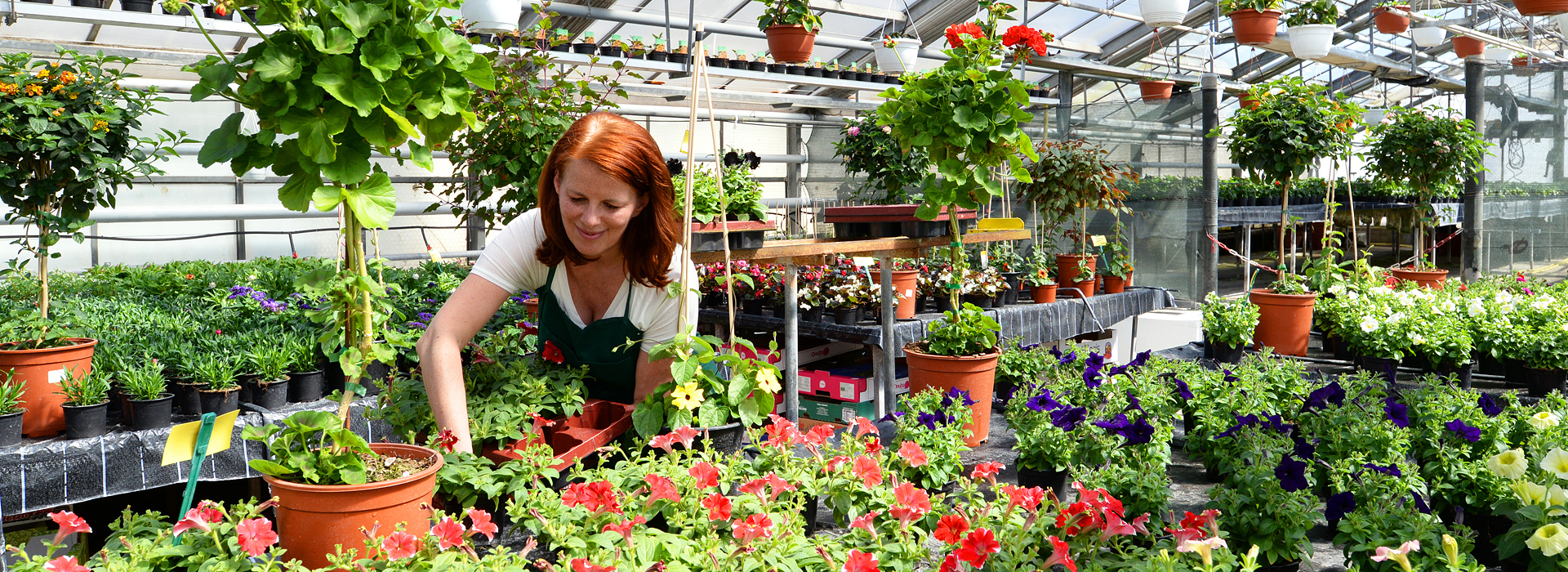 Handel / Gärtnerei | Firmenkunden | EXento GmbH Schädlingsbekämpfung