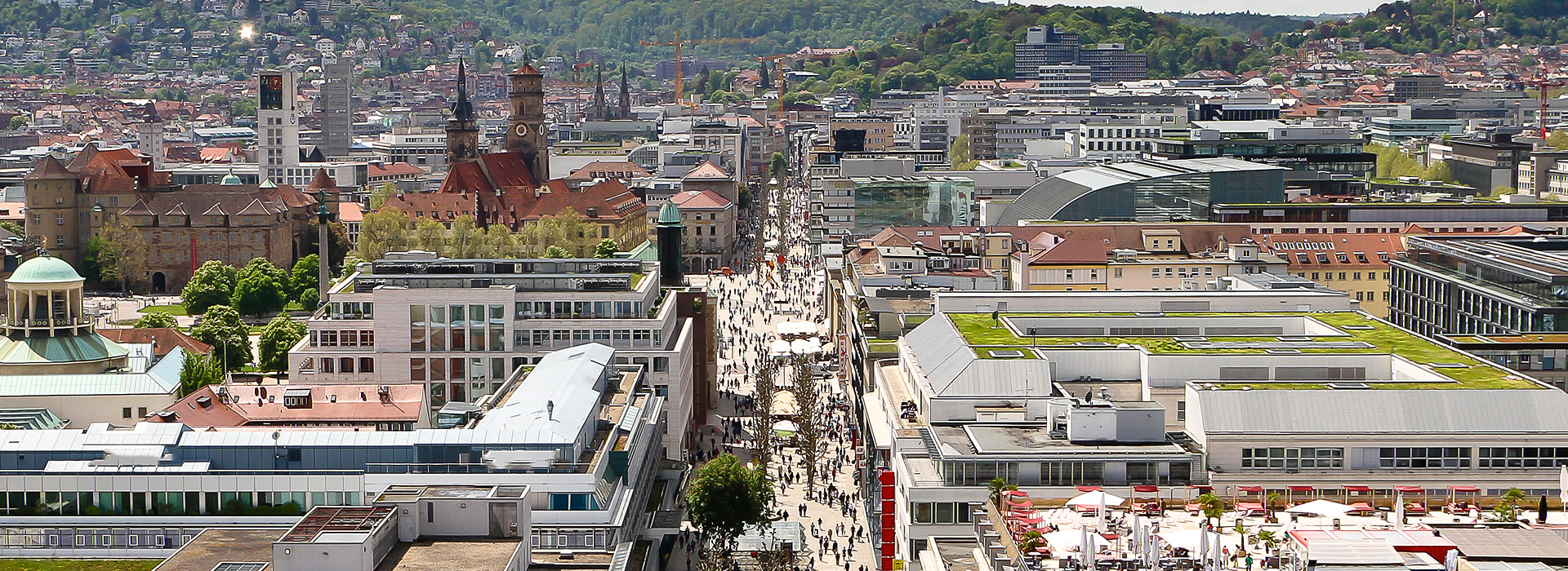 Kirchen / Kommunen / Öffentliche Hand | Firmenkunden | EXento GmbH Schädlingsbekämpfung