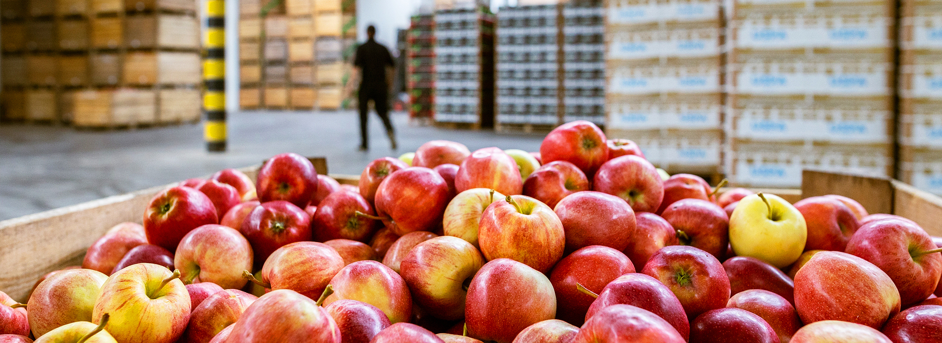 Landwirtschaft / Obstbauer | Firmenkunden | EXento GmbH Schädlingsbekämpfung