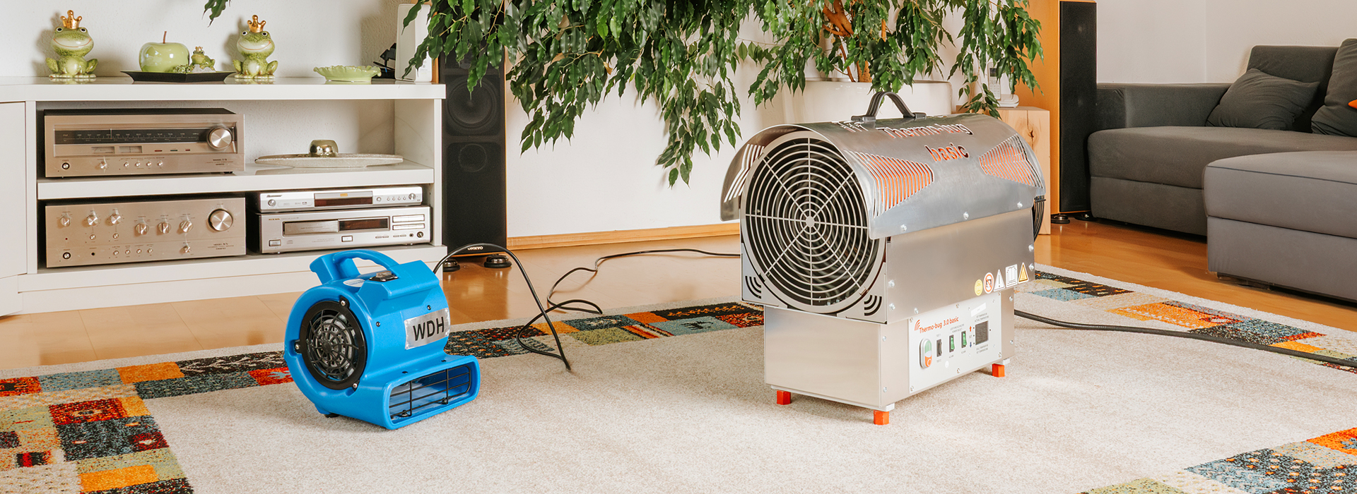 Thermische Bekämpfung | EXento GmbH Schädlingsbekämpfung