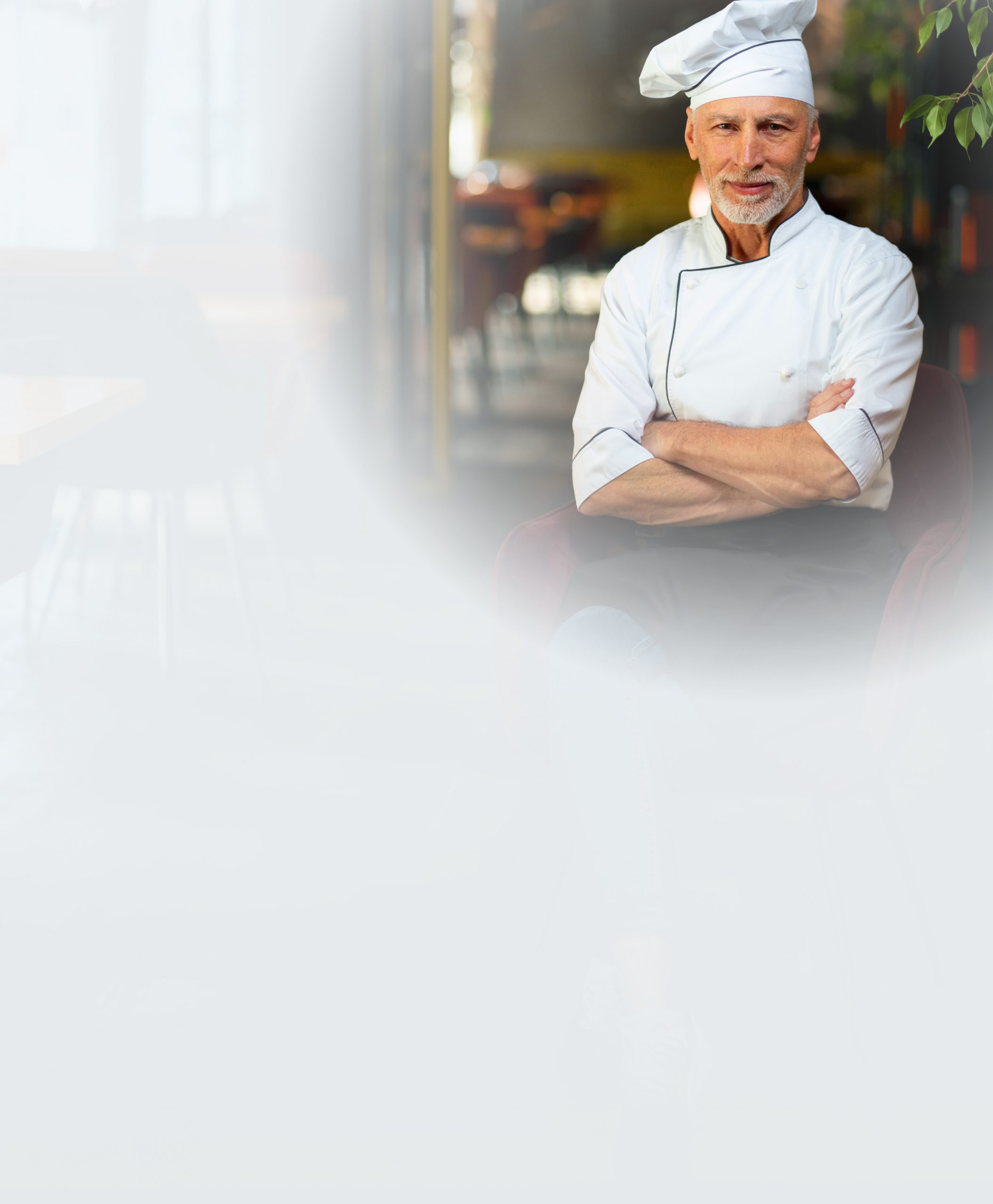 Chefkoch | EXento GmbH Schädlingsbekämpfung