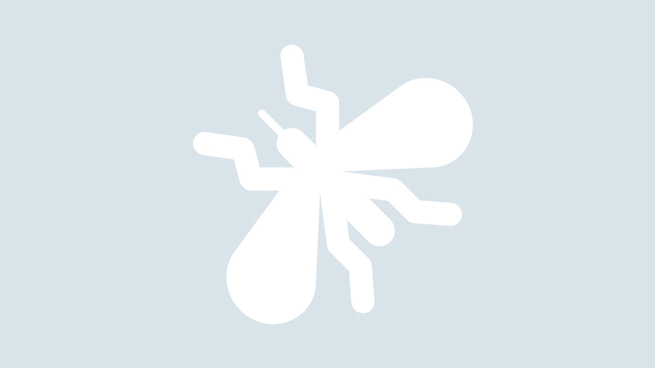 Platzhalter | EXento GmbH Schädlingsbekämpfung